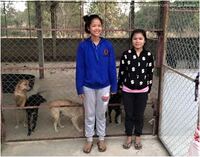 Kham Pom Animal Shelter By Door to Freedom (374)